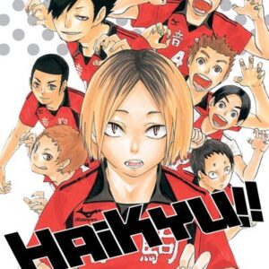 Manga Haikyu!! Tomo 4